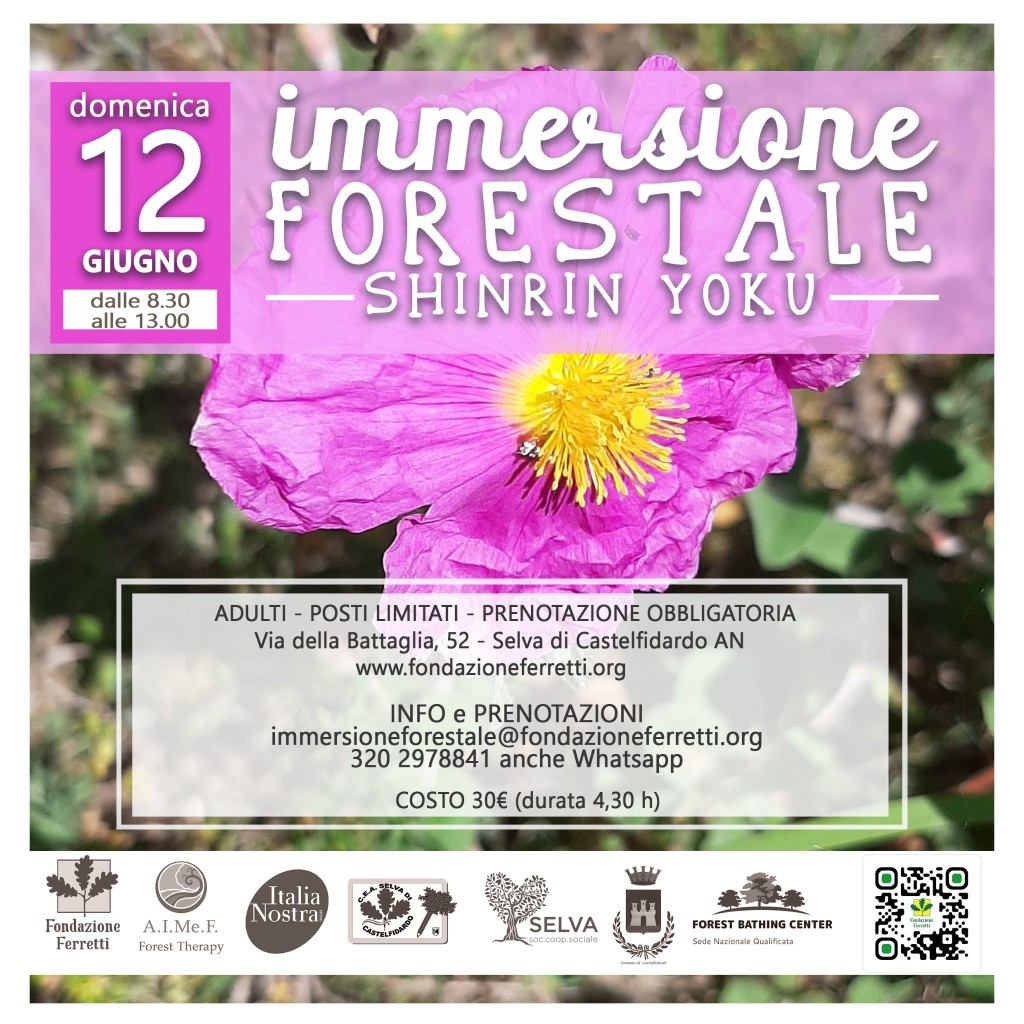 Immersione forestale del 12 giugno 2022