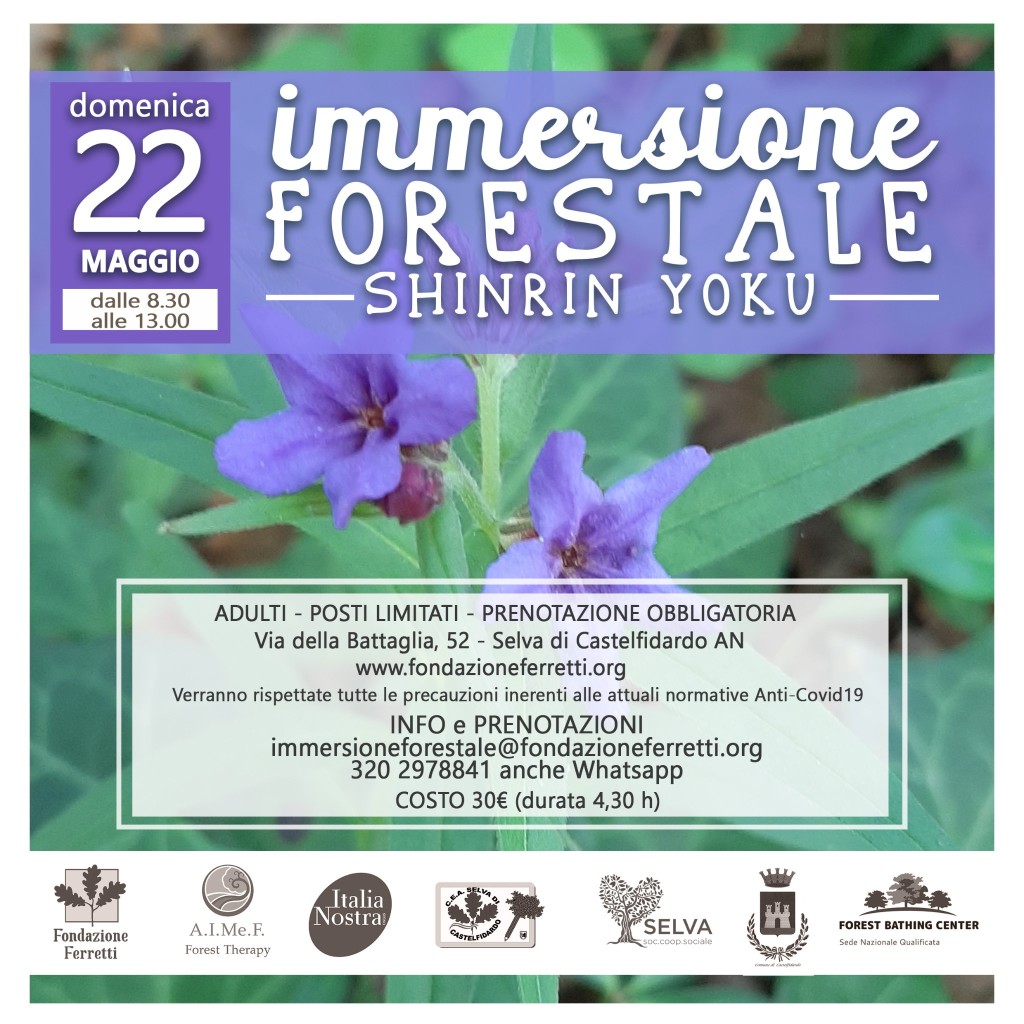 Immersione forestale del 22 maggio 2022