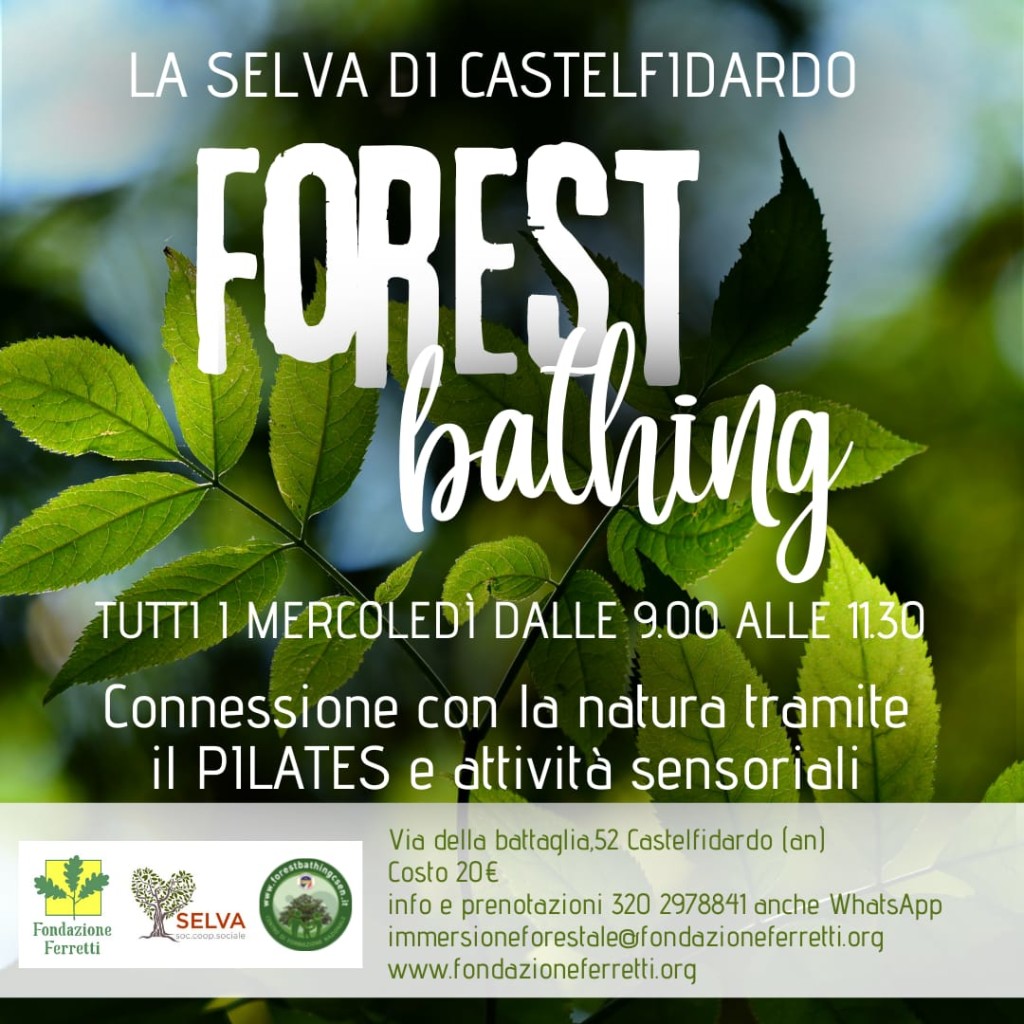 Forest Bathing nella Selva di Castelfidardo