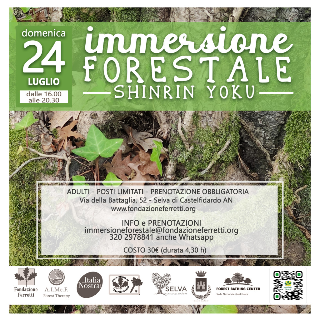 Immersione forestale - Shinrin Yoku alla Selva di Castelfidardo
