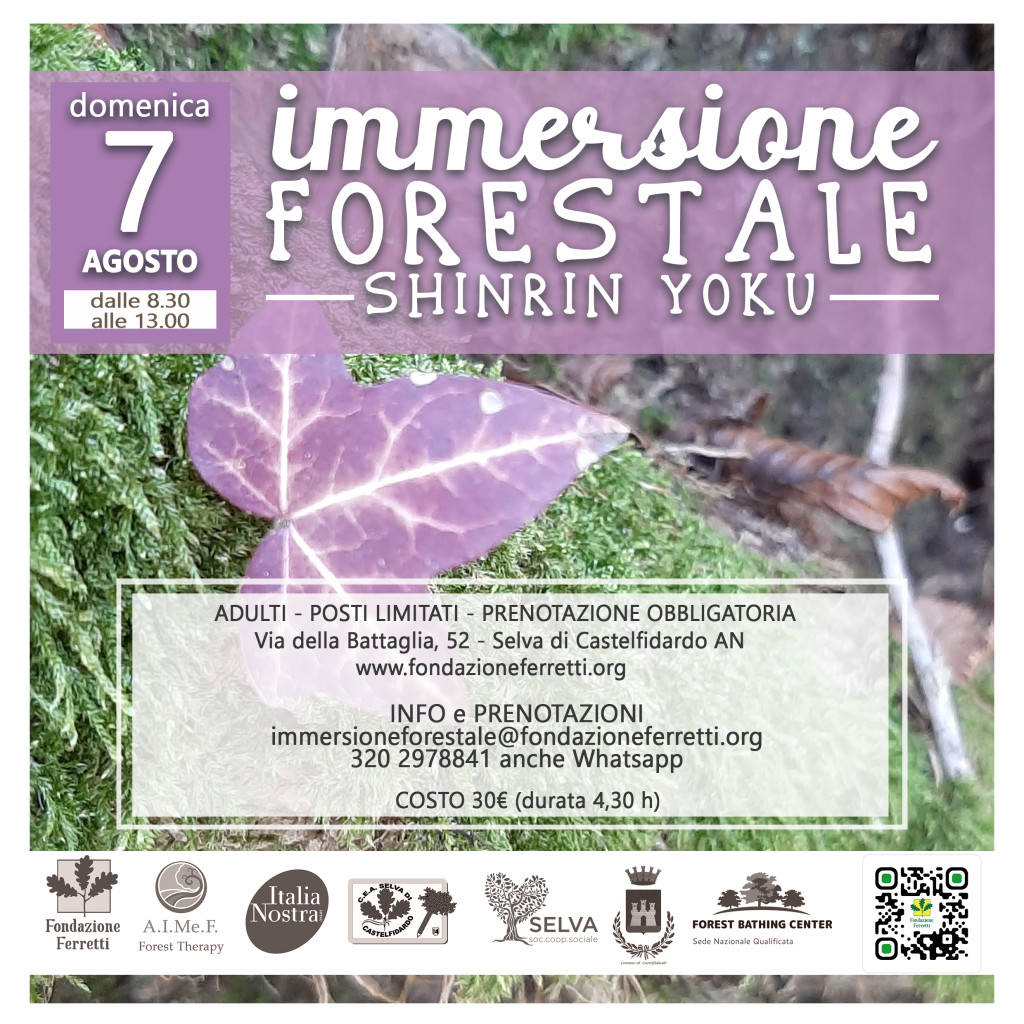 Immersione forestale alla Selva di Castelfidardo