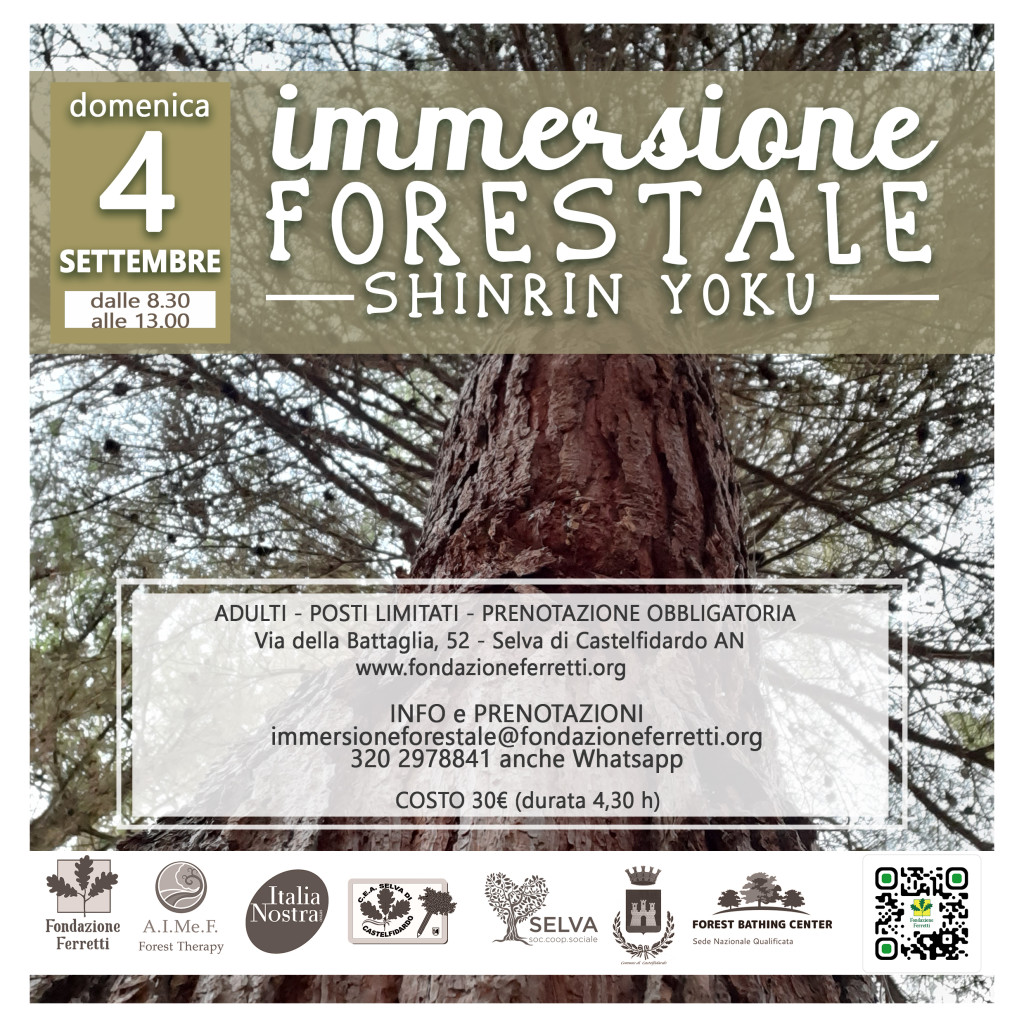 Immersione forestale del 04 settembre 2022