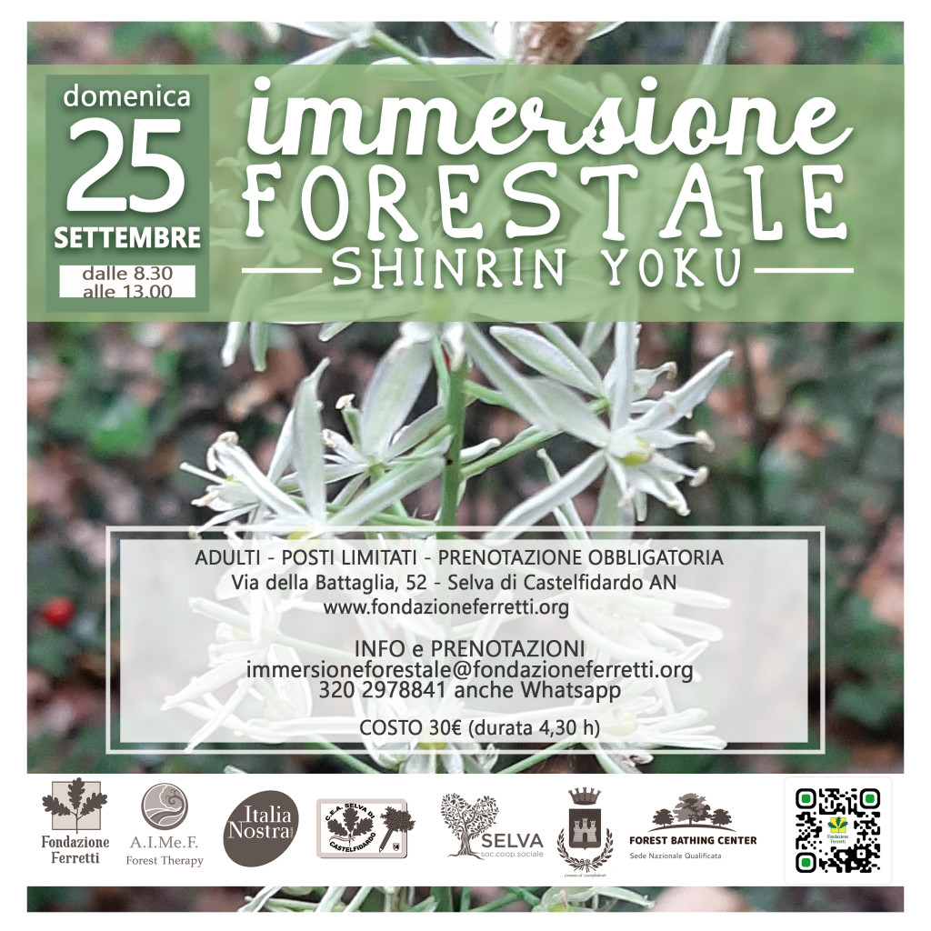 Immersione forestale del 25 settembre 2022