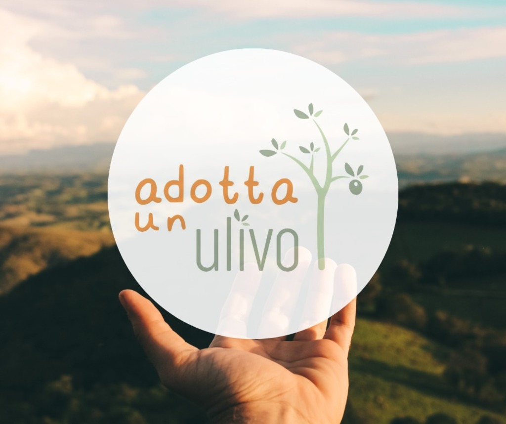 Adotta-un-ulivo