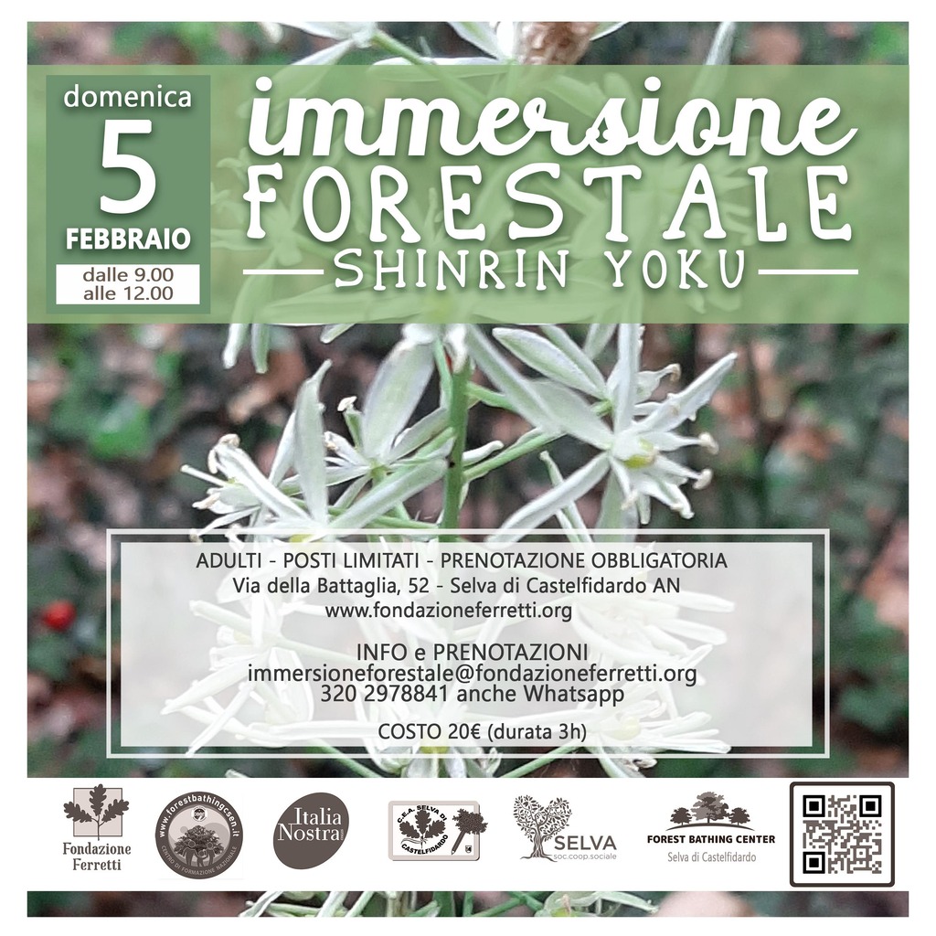 Immersione Forestale