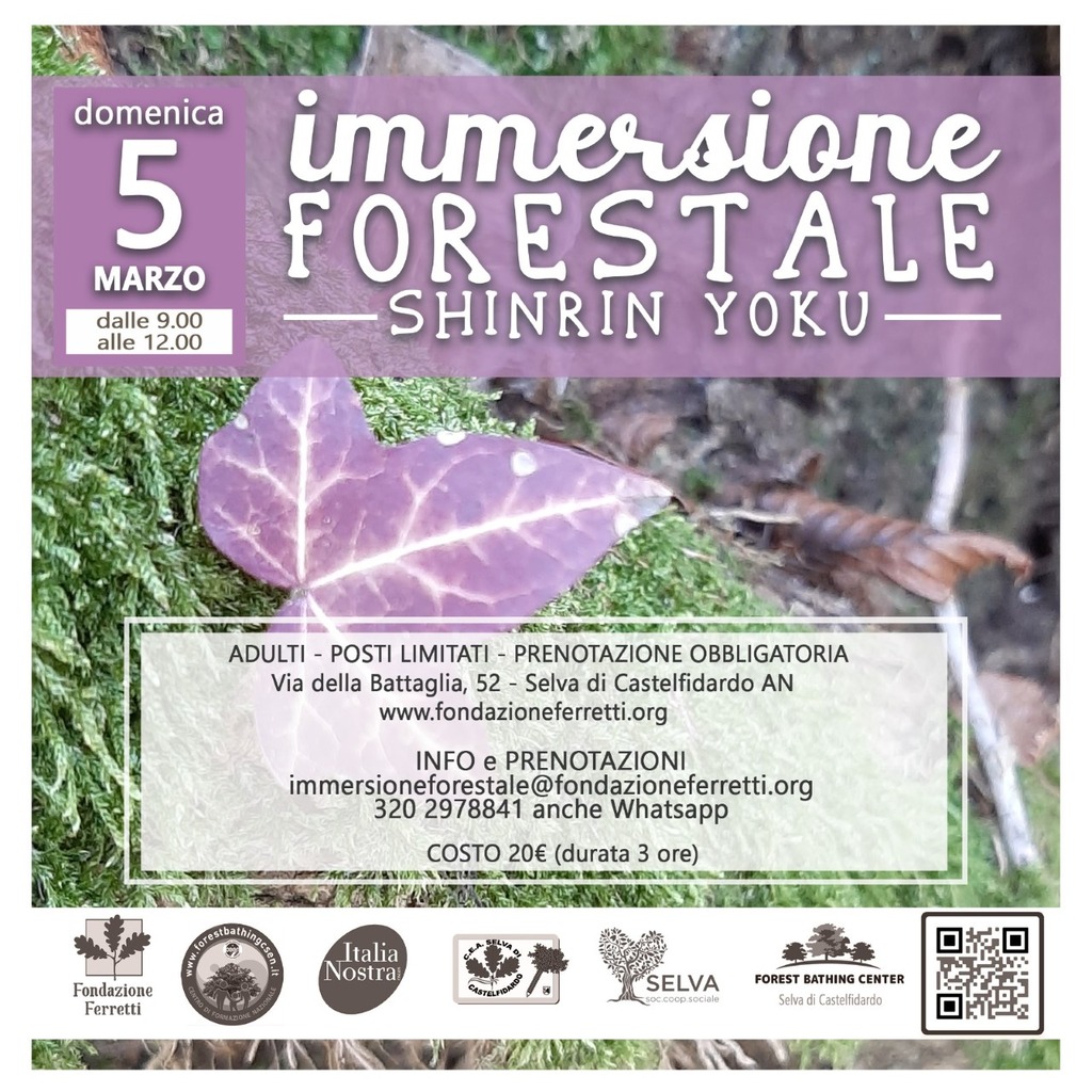 Immersione Forestale