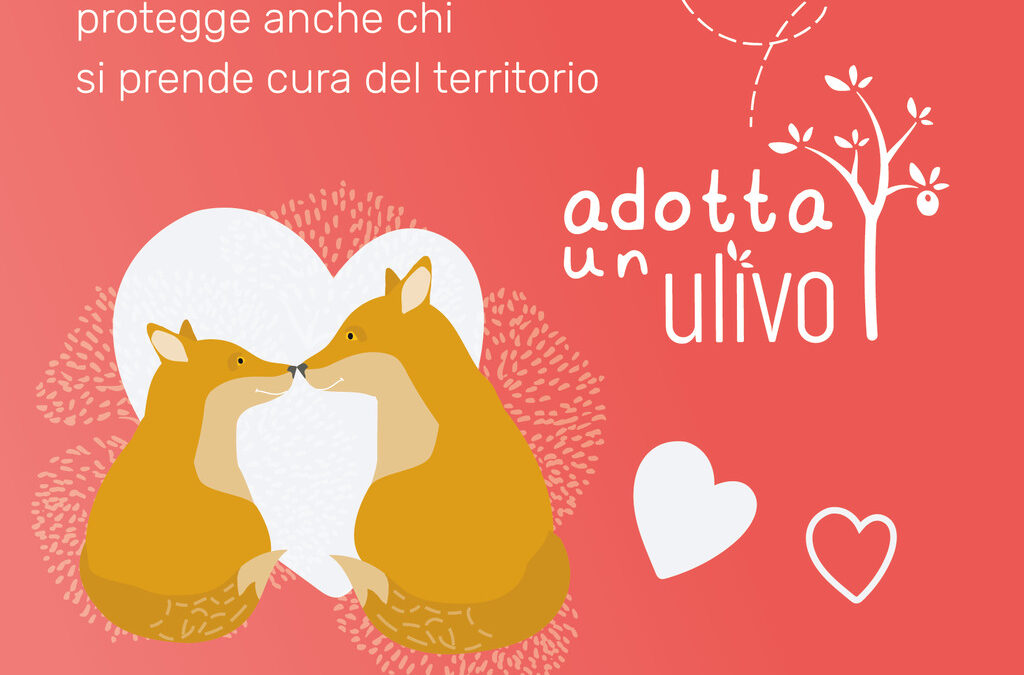 A SAN VALENTINO ADOTTA UN ULIVO!