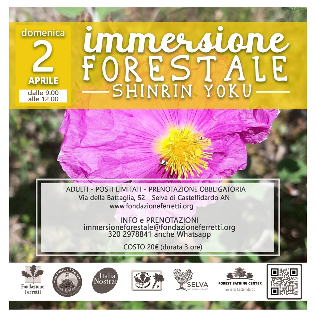 Immersione-Forestale-04Aprile23