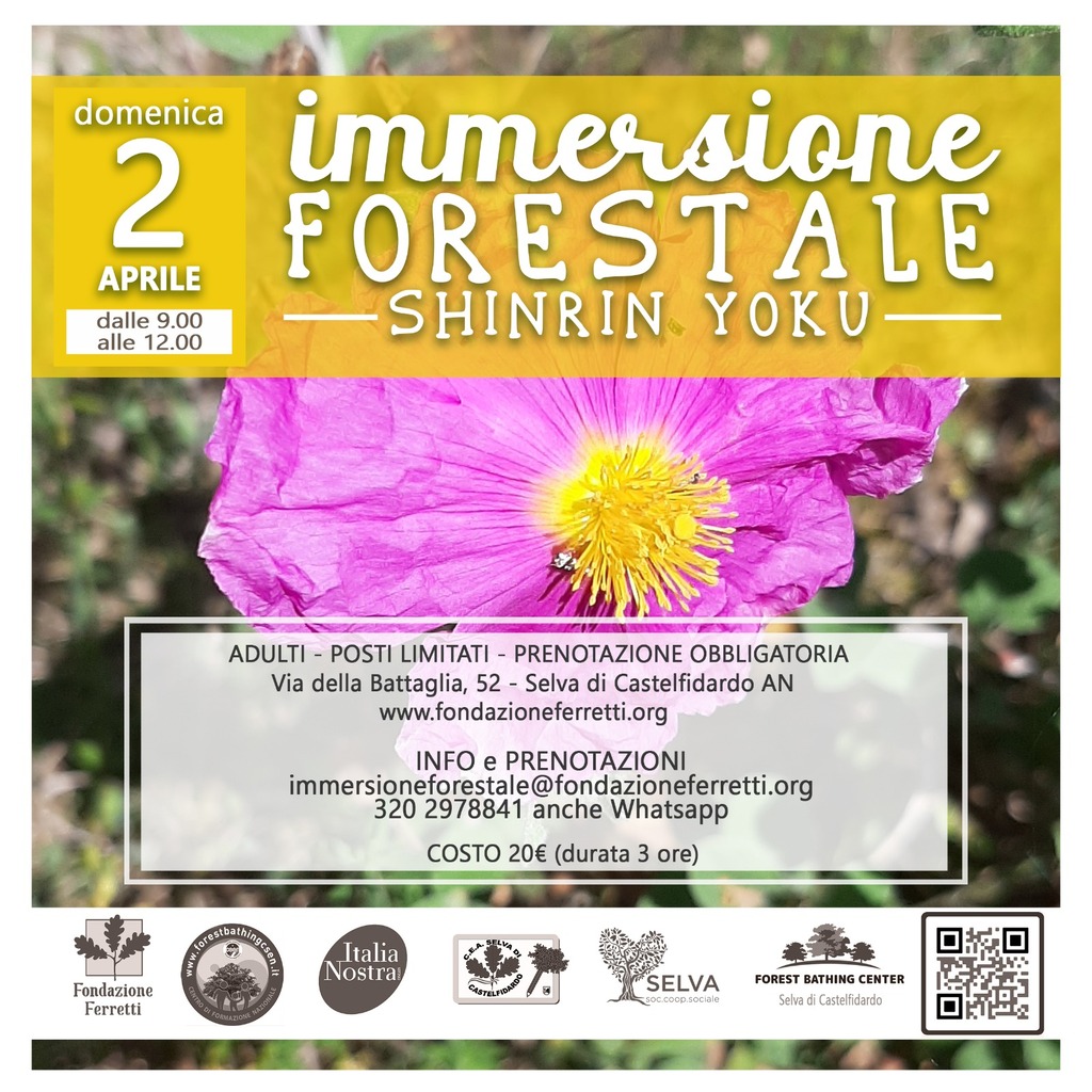 IMMERSIONE FORESTALE