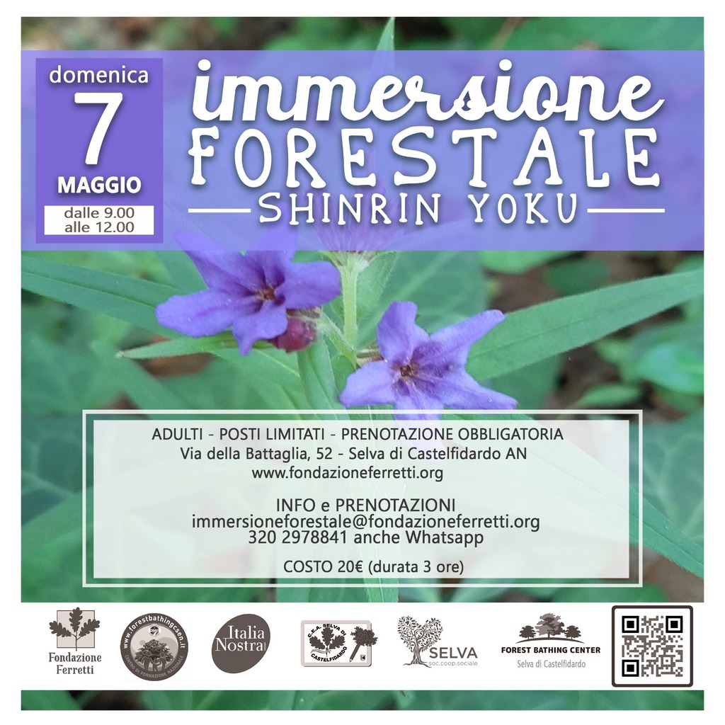 IMMERSIONE FORESTALE