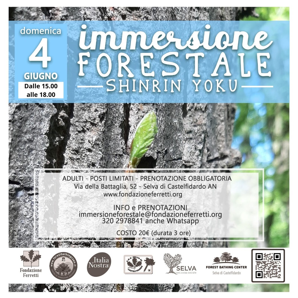 IMMERSIONE FORESTALE