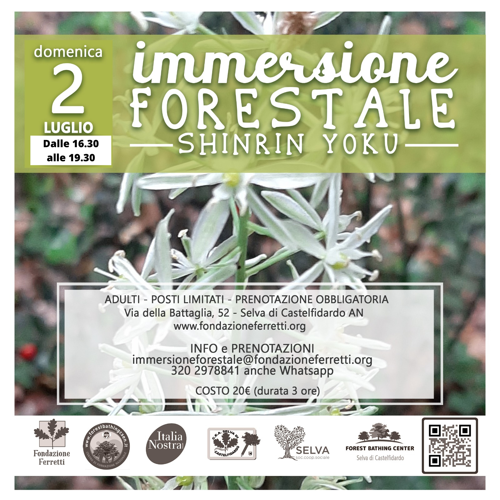 IMMERSIONE FORESTALE