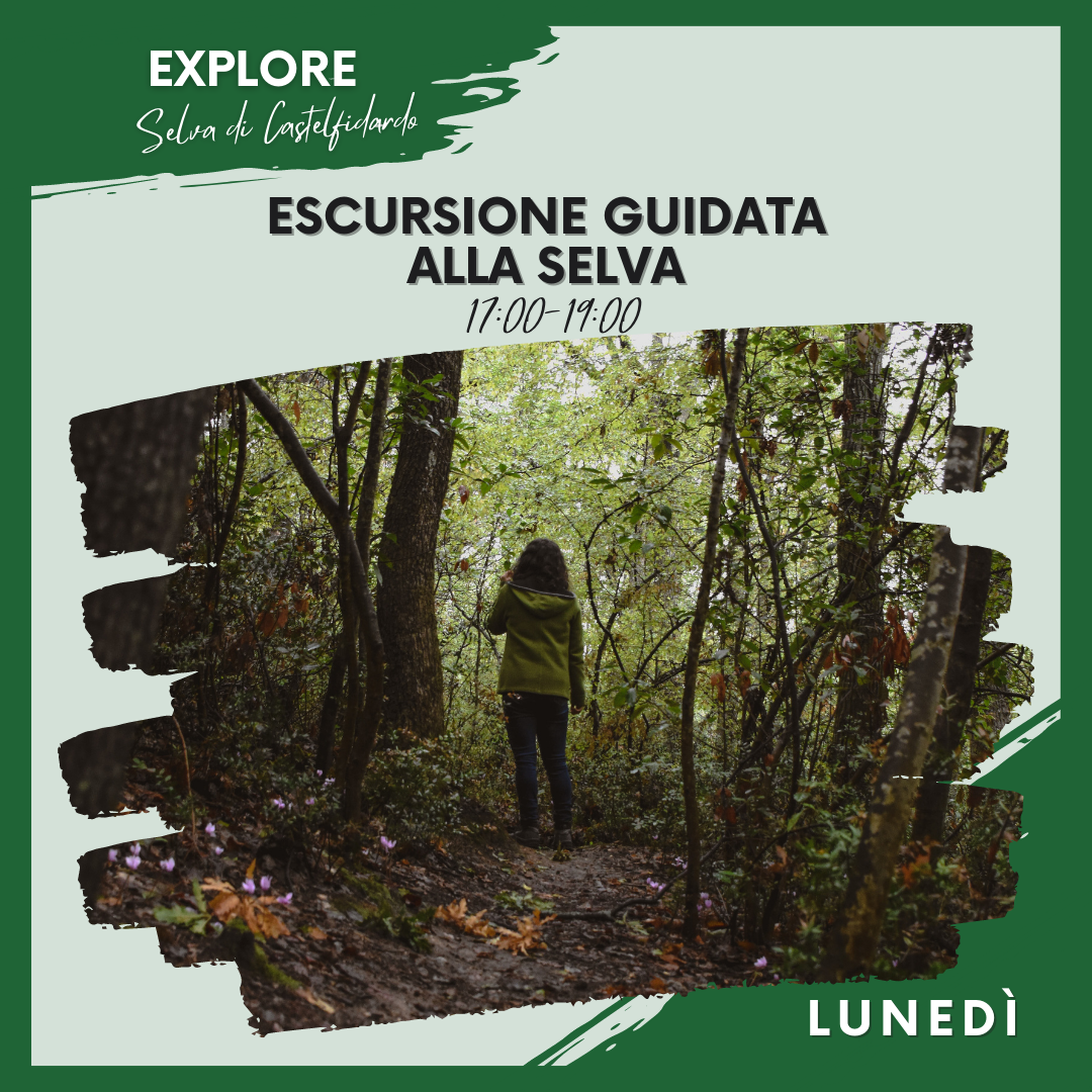 Explore Selva di Castelfidardo - ESCURSIONE GUIDATA ALLA SELVA