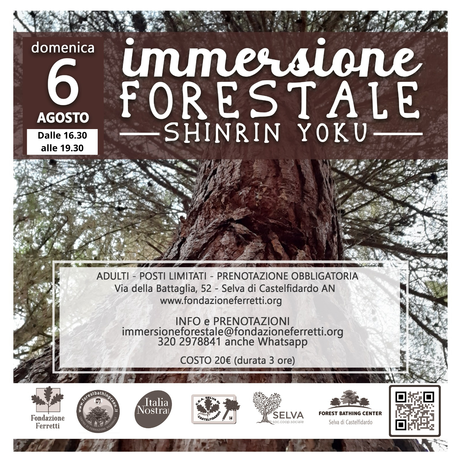 IMMERSIONE FORESTALE