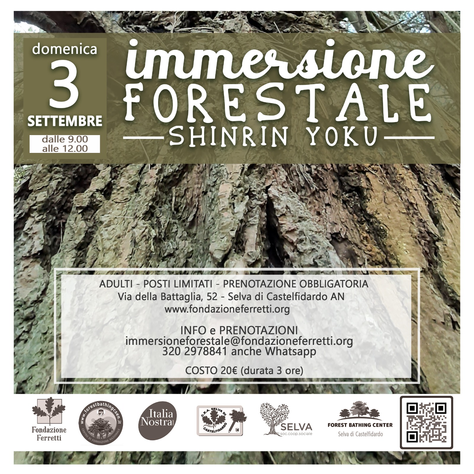 Immersione forestale