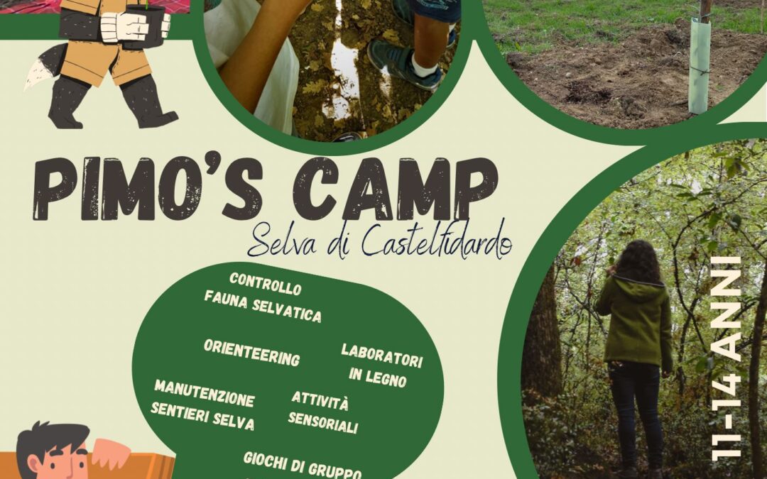 PIMO’S CAMP: per ragazzi da 11 a 14 anni