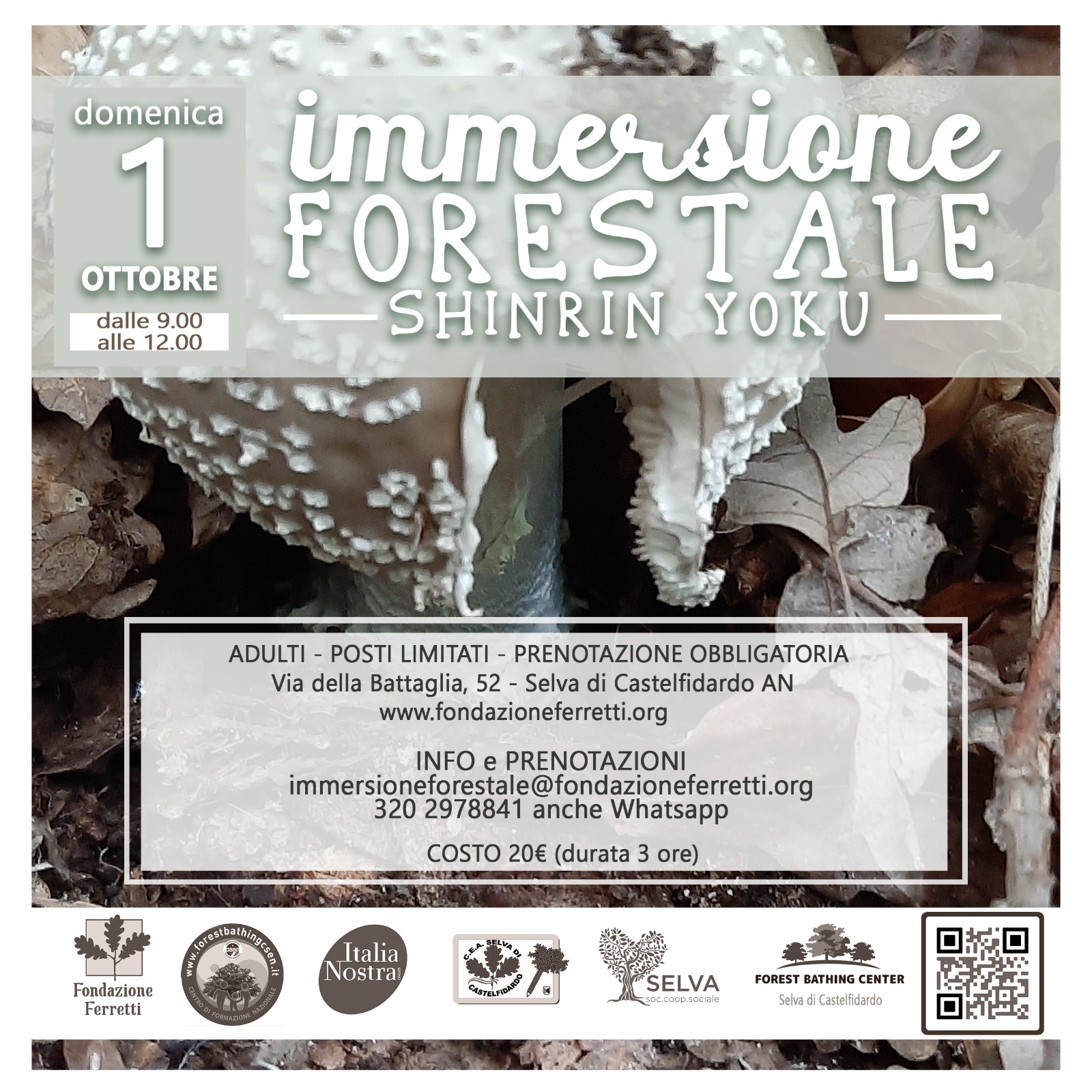 IMMERSIONE FORESTALE