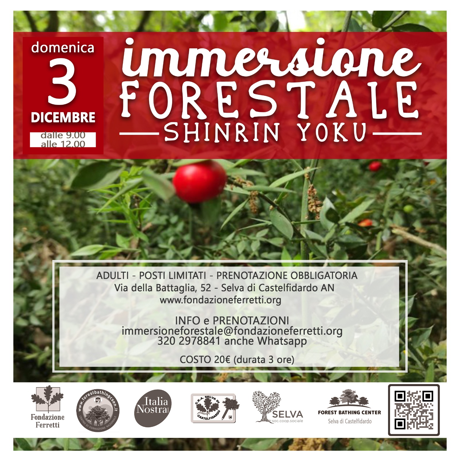 IMMERSIONE FORESTALE