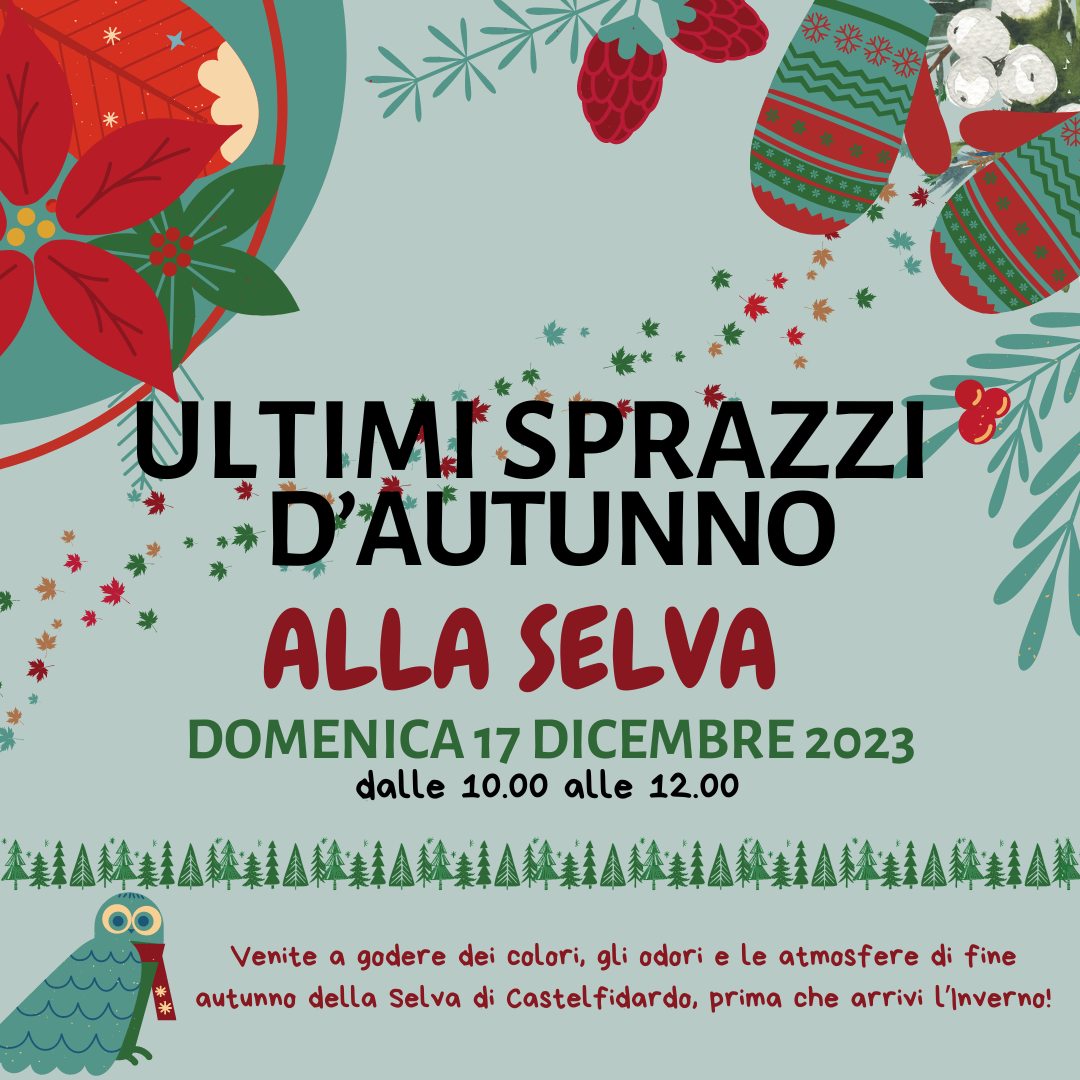 ULTIMI SPRAZZI D'AUTUNNO