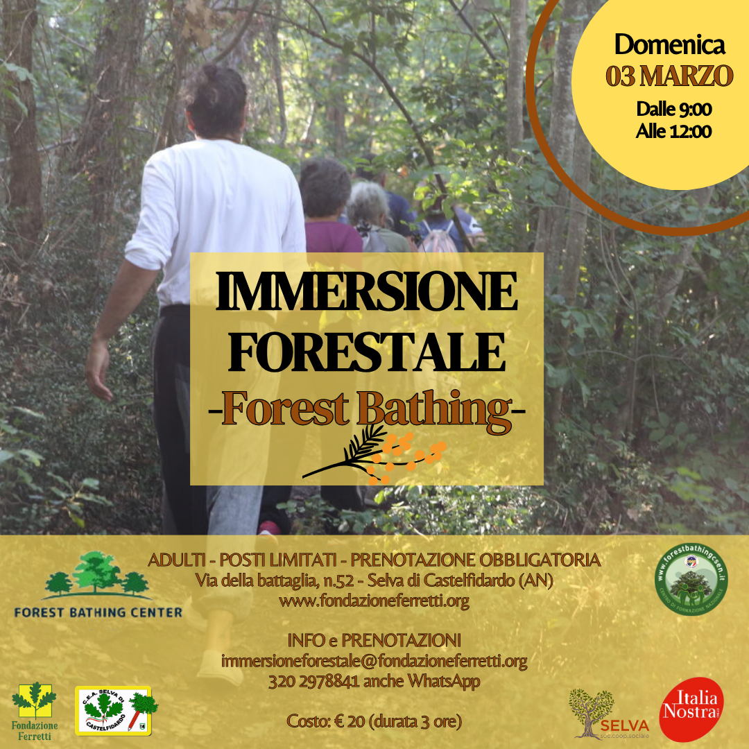 IMMERSIONE FORESTALE