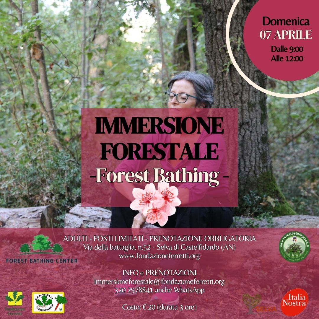 IMMERSIONE FORESTALE