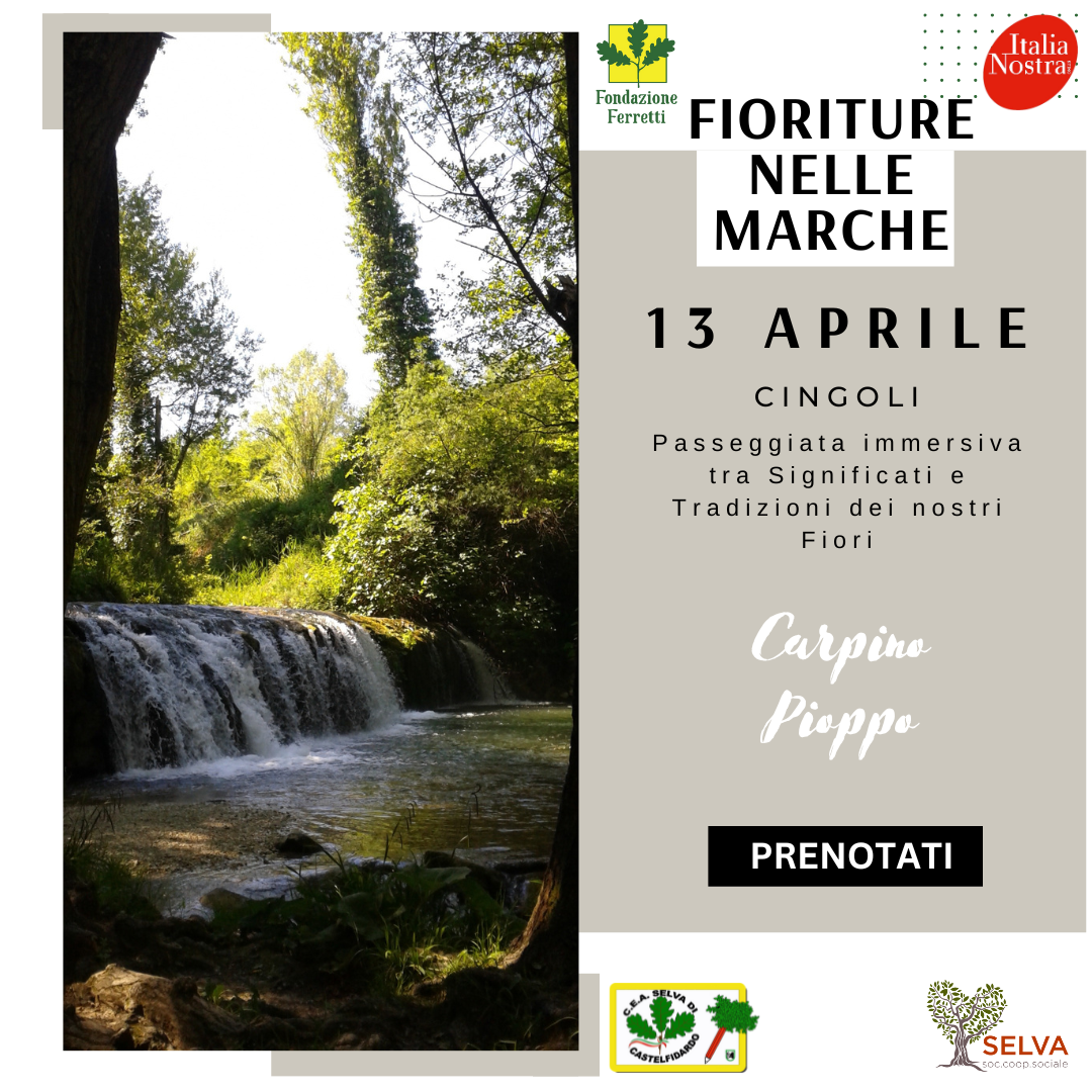 FIORITURE NELLE MARCHE - Cingoli