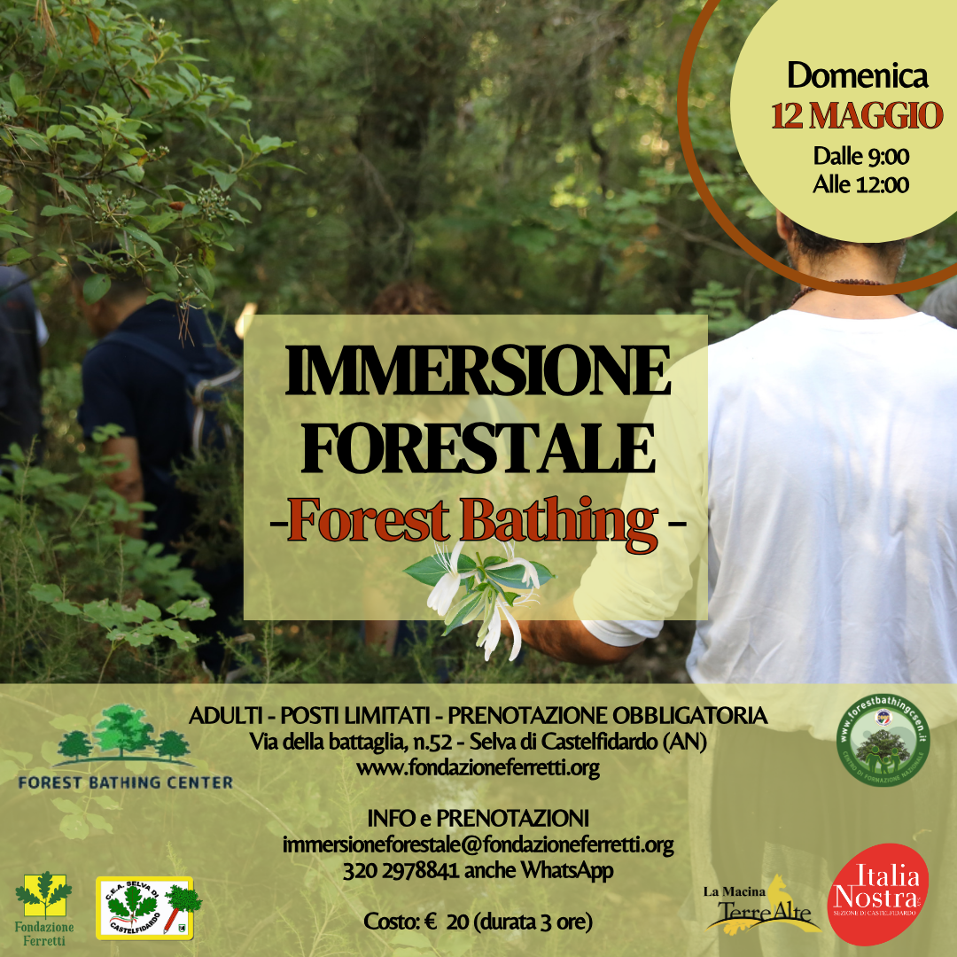 IMMERSIONE FORESTALE