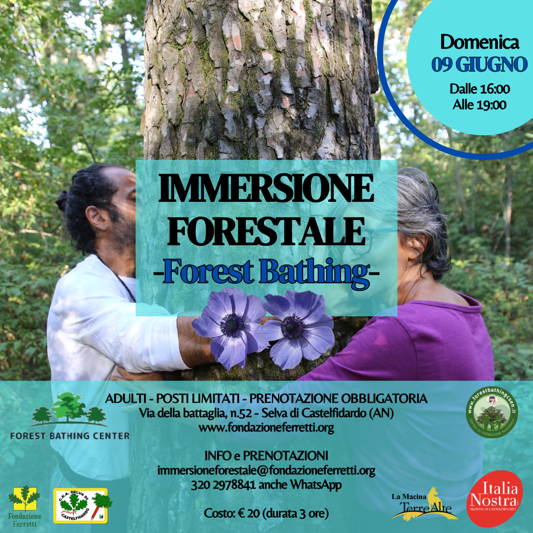 IMMERSIONE FORESTALE