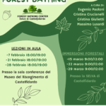 CONOSCIAMO IL FOREST BATHING