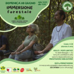 IMMERSIONE FORESTALE del 08 giugno 2025