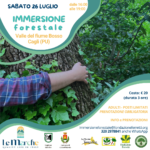 IMMERSIONE FORESTALE del 26 luglio 2025