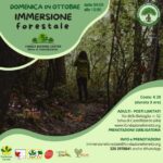 IMMERSIONE FORESTALE del 04 ottobre 2026